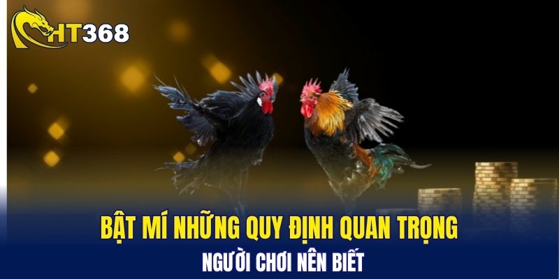 Bật mí những quy định quan trọng người chơi nên biết