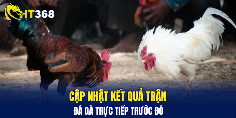 Cập nhật kết quả trận đá gà trực tiếp trước đó