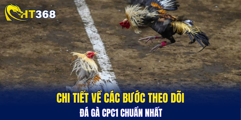 Chi tiết về các bước theo dõi đá gà CPC1 chuẩn nhất