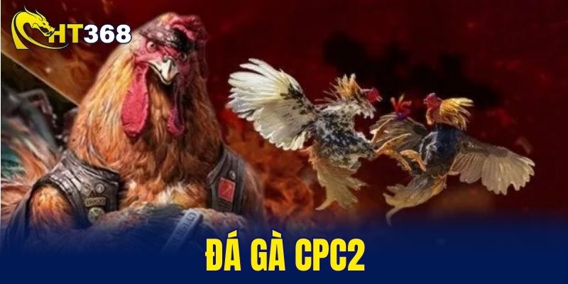 đá gà CPC2