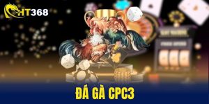 đá gà CPC3