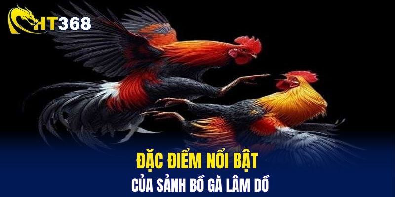 Đặc điểm nổi bật của sảnh bồ gà Lâm Dồ