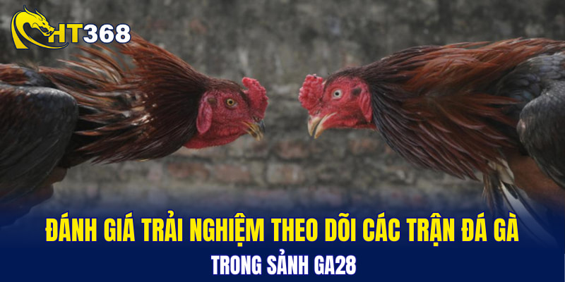 Đánh giá trải nghiệm theo dõi các trận đá gà trong sảnh GA28