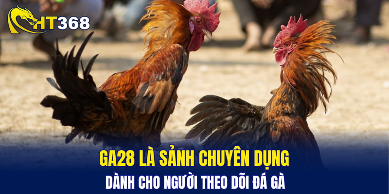 GA28 là sảnh chuyên dụng dành cho người theo dõi đá gà