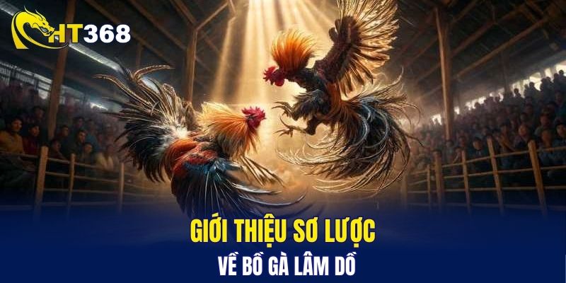 Giới thiệu sơ lược về bồ gà Lâm Dồ