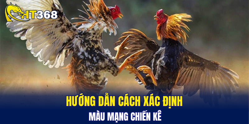 Hướng dẫn cách xác định màu mạng chiến kê