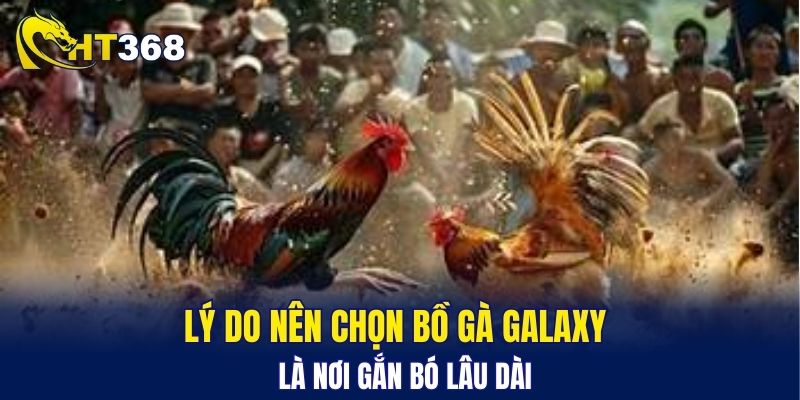 Lý do nên chọn bồ gà Galaxy là nơi gắn bó lâu dài