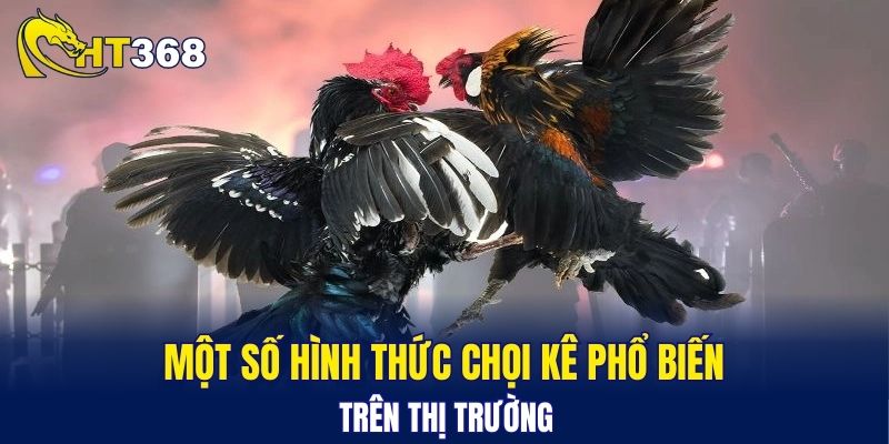 Một số hình thức chọi kê phổ biến trên thị trường