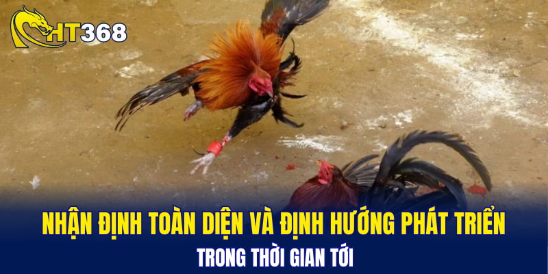 Nhận định toàn diện và định hướng phát triển trong thời gian tới
