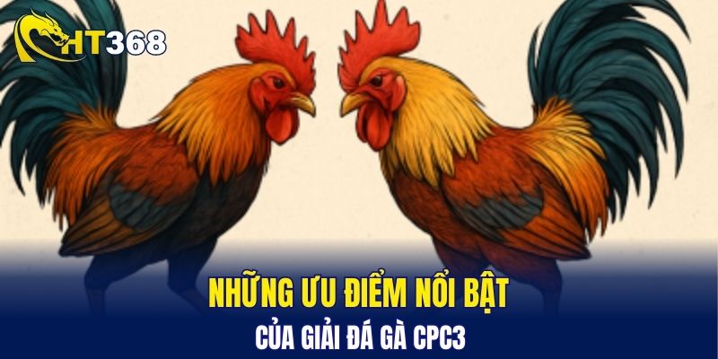 Những ưu điểm nổi bật của giải đá gà CPC3