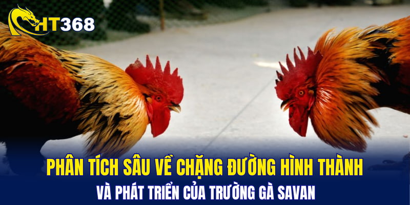 Phân tích sâu về chặng đường hình thành và phát triển của trường gà Savan