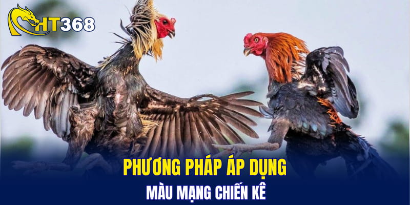 Phương pháp áp dụng màu mạng chiến kê
