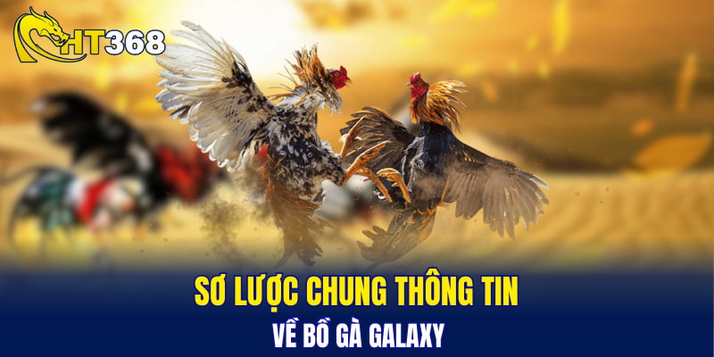 Sơ lược chung về bồ gà Galaxy