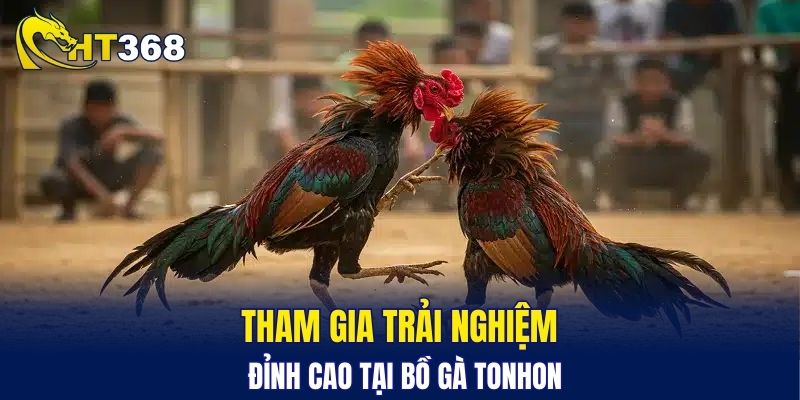 Tham gia trải nghiệm đỉnh cao tại bồ gà Tonhon
