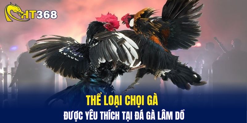Thể loại chọi gà được yêu thích tại đá gà Lâm Dồ