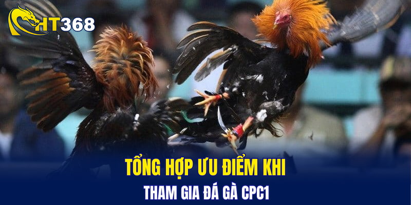 Tổng hợp ưu điểm khi tham gia đá gà CPC1