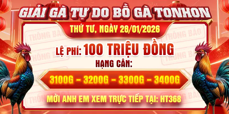 giải gà tự do bồ gà tonhon ngày 28